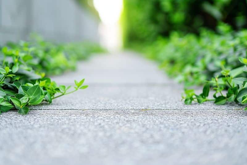 Nettoyage des trottoirs et implications légales
