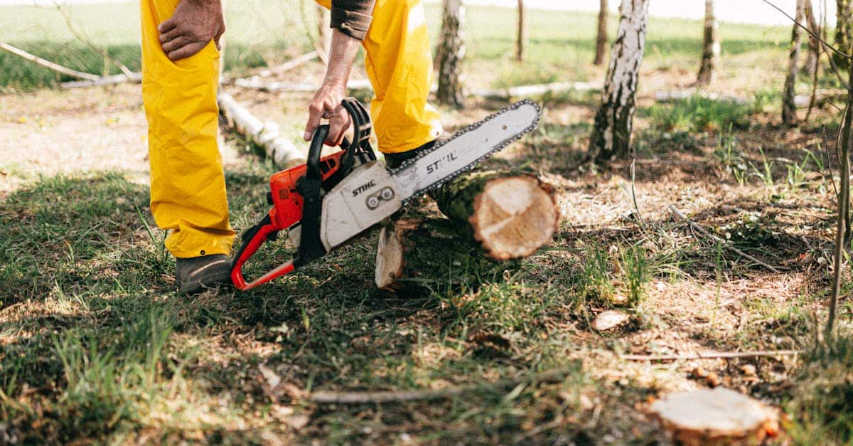 découvrez notre sélection de perceuses puissantes et performantes, idéales pour tous vos travaux de bricolage et construction.