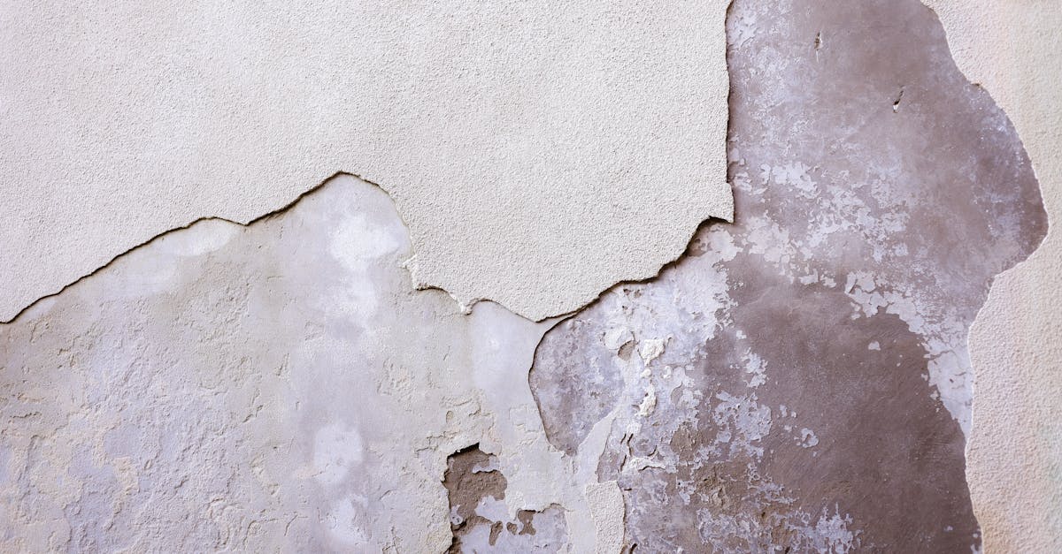 découvrez tout sur les chevilles pour plaques de plâtre : guide d'achat, types, conseils d'installation et astuces pour une fixation solide et durable.
