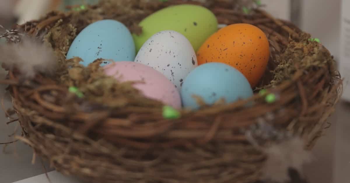 découvrez des activités amusantes et familiales pour le lundi de pâques, parfaites pour célébrer cette journée spéciale avec vos proches.
