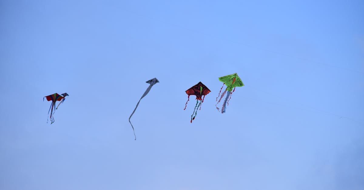 cerfs-volants faits main, alliant créativité et savoir-faire pour des vols uniques et colorés.