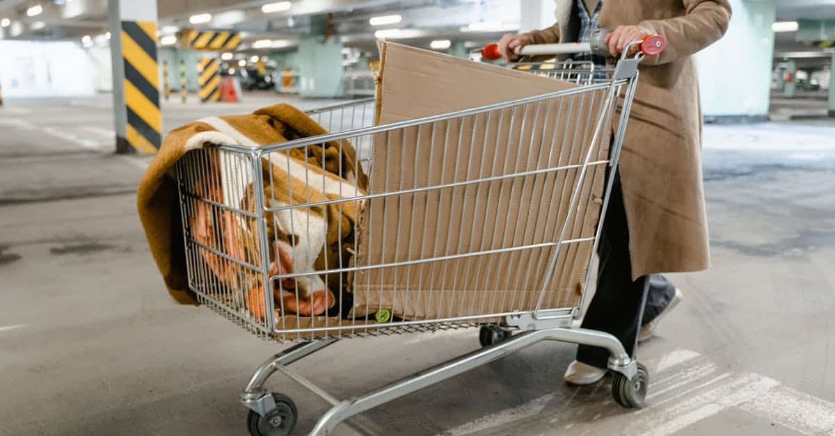 découvrez notre boutique de chariots élégants alliant style et praticité pour un transport facile et tendance.