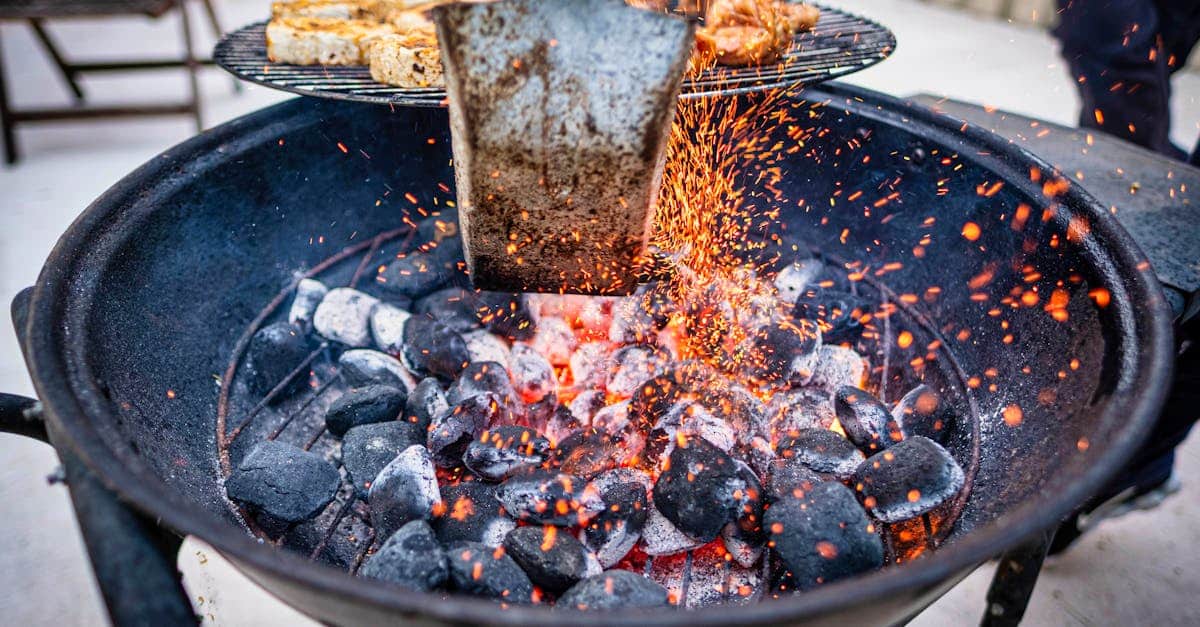 découvrez notre sélection de grills au charbon pour des repas savoureux et authentiques. parfaits pour un barbecue réussi avec des saveurs intenses.