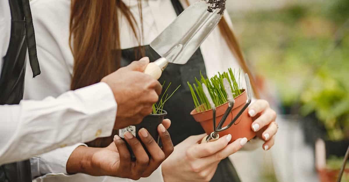 découvrez des conseils pratiques, astuces et idées pour réussir votre jardinage et embellir votre espace extérieur toute l'année.
