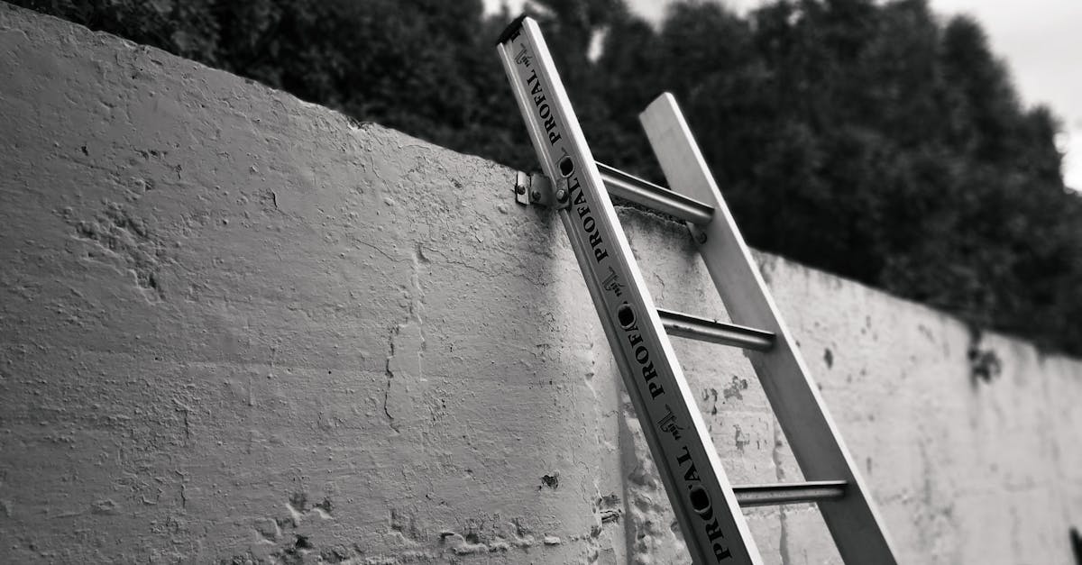 découvrez notre sélection d'échelles solides et sécurisées, adaptées à tous vos besoins, que ce soit pour la maison, le jardin ou les travaux professionnels.