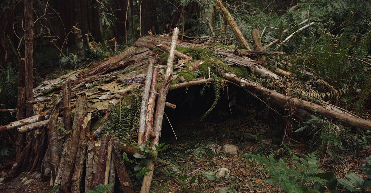 découvrez comment construire facilement votre propre abri diy avec nos conseils pratiques et guides étape par étape pour un refuge sûr et personnalisé.