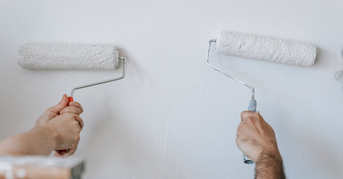 découvrez des conseils, astuces et idées innovantes pour tous vos projets d'amélioration de l'habitat. transformez votre maison facilement et avec style.